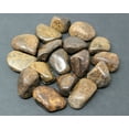 thumbnail image 1 of 1/4 lb Bulk Lot Bronzite Tumbled Stone (Crystal Healing Gemstone Reiki) 4 oz, 1 of 9
