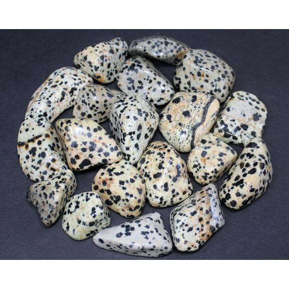 1/4 lb Bulk Lot Dalmatian Jasper Tumbled Stone (Dalmation Jasper Tumble)