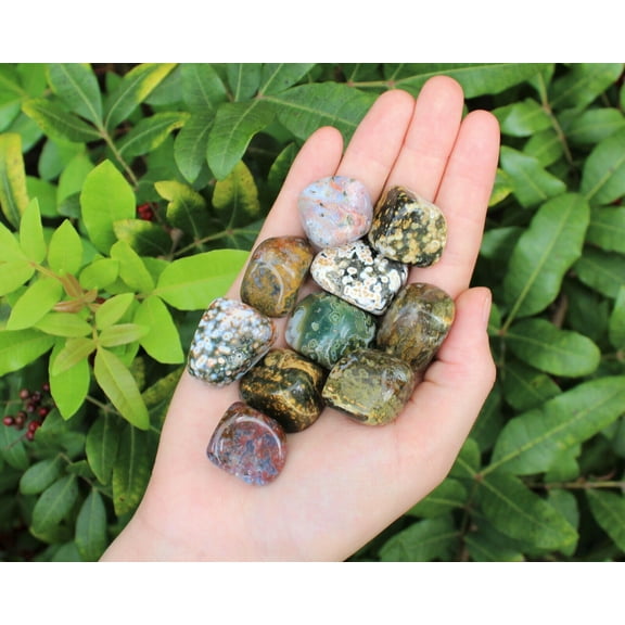 1/4 lb Bulk Lot Medium Sea Jasper Tumbled Stone 4 oz (Jasper Stone)