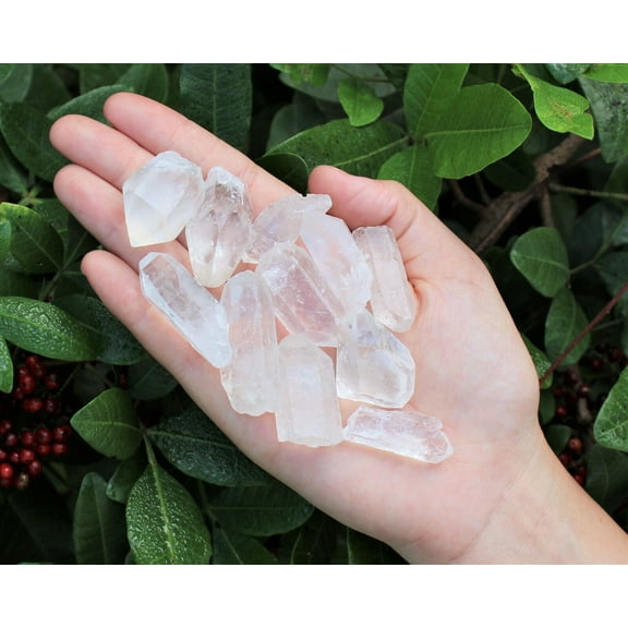 1/4 lb Lot Natural Clear Quartz Crystal Points Wand Specimen US Seller 4 oz 115g