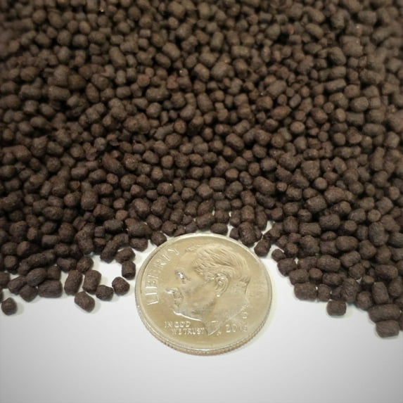 1.5 - 2 mm Floating & Sinking Blackworm Pellets with Color Enhancers & Vitamins...1/2-lb