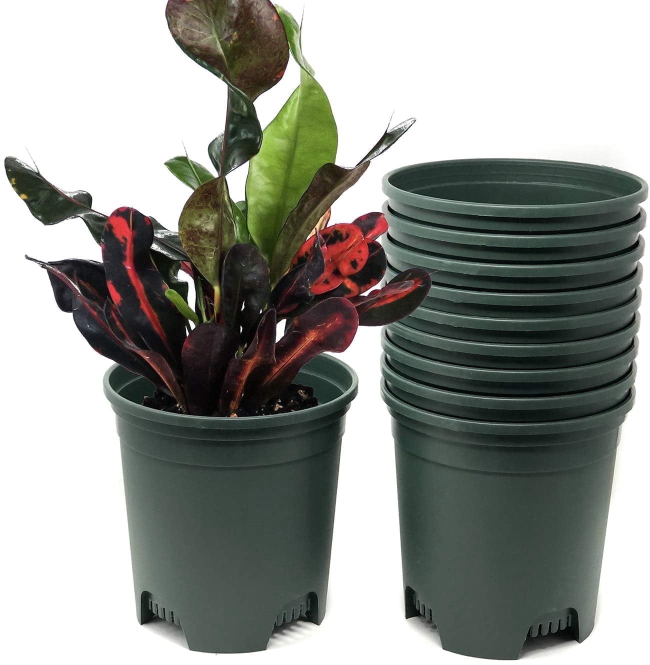 Cotta Planters 10-Pack 1.5 Gallon Plastic Nursery Plant Pots, Heavy Duty BPA-Free Recycled Plastic, Green