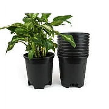 Cotta Planters 10-Pack 1.5 Gallon Plastic Nursery Plant Pots, Heavy Duty BPA-Free Recycled Plastic, Black