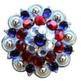 thumbnail image 1 of 1.5" Hilason Western Style Silver Berry Rhinestone Bling Tack Headstall Saddle Concho Red/Blue, 1 of 4