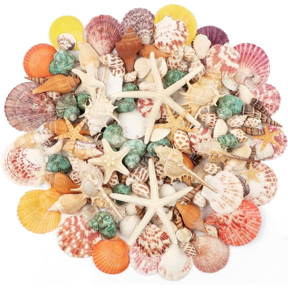 1.5 LB Mixed Sea Shells, 130+ PCS Beach Seashells Starfish Oyster Shells Various Sizes Ocean Seashells for Fish Tank Vase Fillers Beach Theme Party Wedding Decor DIY Crafts Home Decorations