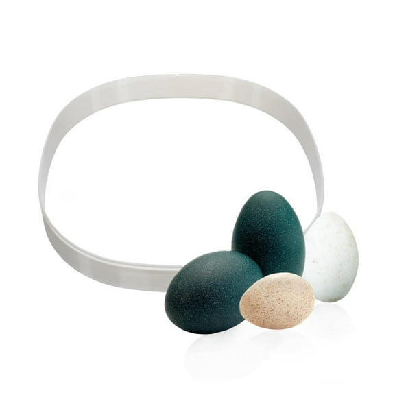 1.5" Riser for Nurture Right 360 Incubator - Nurture Right 360 Incubator Riser for Hatching Eggs - Durable Egg Incubators Riser with Easy Installation - Nurture Right 360 Riser