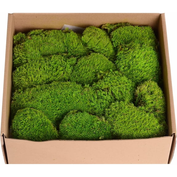1.5 Sq. Ft. Preserved Moss Pole Decorative Moss for Crafts, Art, Wall Decor,Yellow Green Moss