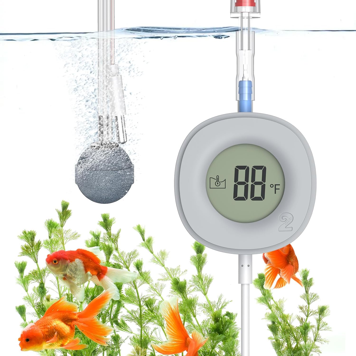 Beautiful view of Small Air Pump For 5 Gallon Fish Tank Usa