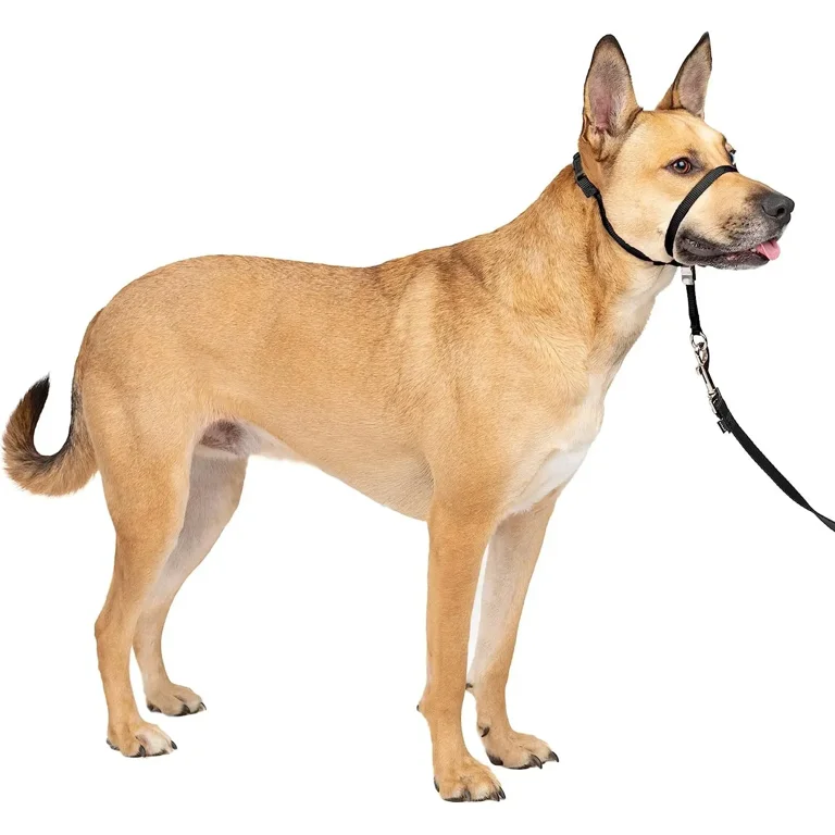 1.5m Adjustable Nylon Dog Muzzle Anti barking Anti bite Harness Head Collar Muzzle Dog Halter Training Leash Leader Collar Walmart