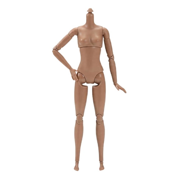 1/6 Scale Female Action Figure Body, 12 Inch Suntan Skin Middle Bust, 22 Articulated Joints Flexible Doll Body for Custom Collection & Display