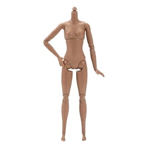 1/6 Scale Female Action Figure Body, Robust 10.2" Nude Doll with 22 Articulated Joints, Resilient Supermodel Figurine Base for BJD Customization & Artist Sketching