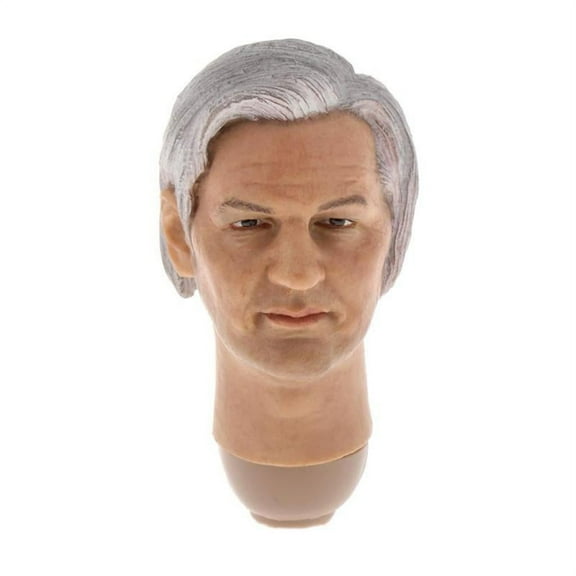 1/6 Scale Male Figure Head Sculpt Assange for 12 inch Action Figure Phicen HT Verycool Body Parts