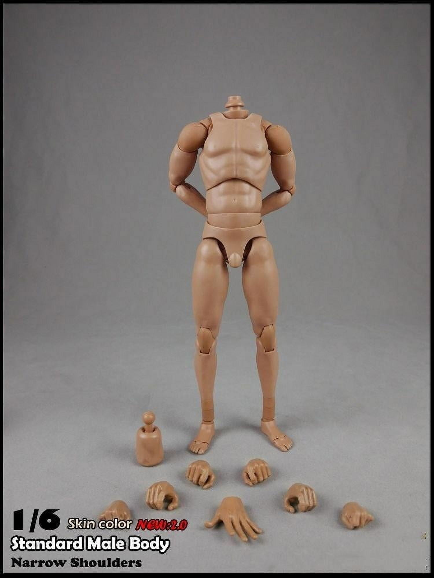 1/6 Scale Standard Body Narrow Shoulders Male Action Figure Body Model ...