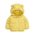 thumbnail image 1 of 1-6Y Toddler Boys Girls Winter Warm Hooded Puffer Coat Jacket Kids Casual Zipper Thickened Snow Clothes Overcoat Outerwear With Pockets, 1 of 7