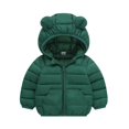 thumbnail image 1 of 1-6Y Toddler Boys Girls Winter Warm Hooded Puffer Coat Jacket Kids Casual Zipper Thickened Snow Clothes Overcoat Outerwear With Pockets, 1 of 7
