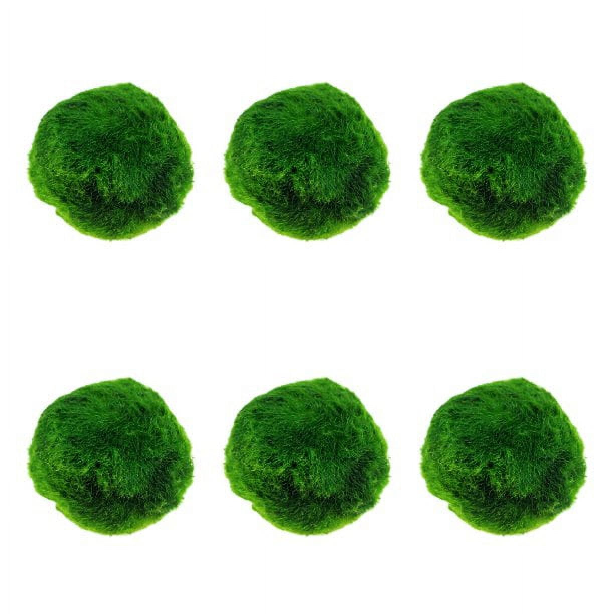 Moss Balls, 18 PCS Decorative Balls for Centerpiece Bowls - 6pcs