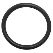 1/8 Diameter -006 Chemical-Resistant High-Temperature O-Rings 100 EA per Pack