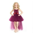 thumbnail image 1 of 1-8T Girls Tutu Dress Toddler Tulle Flower Girl Party Dresses for Birthday Outfit, Photography Prop, Special Occasion, 1 of 4
