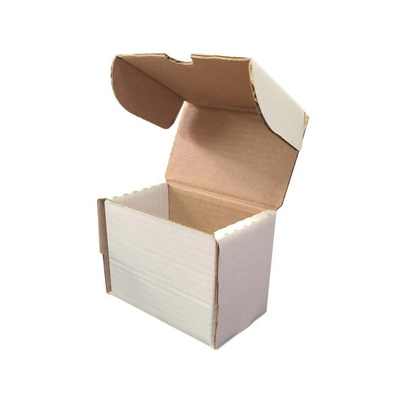 1 BCW 5" Toploader Storage Box