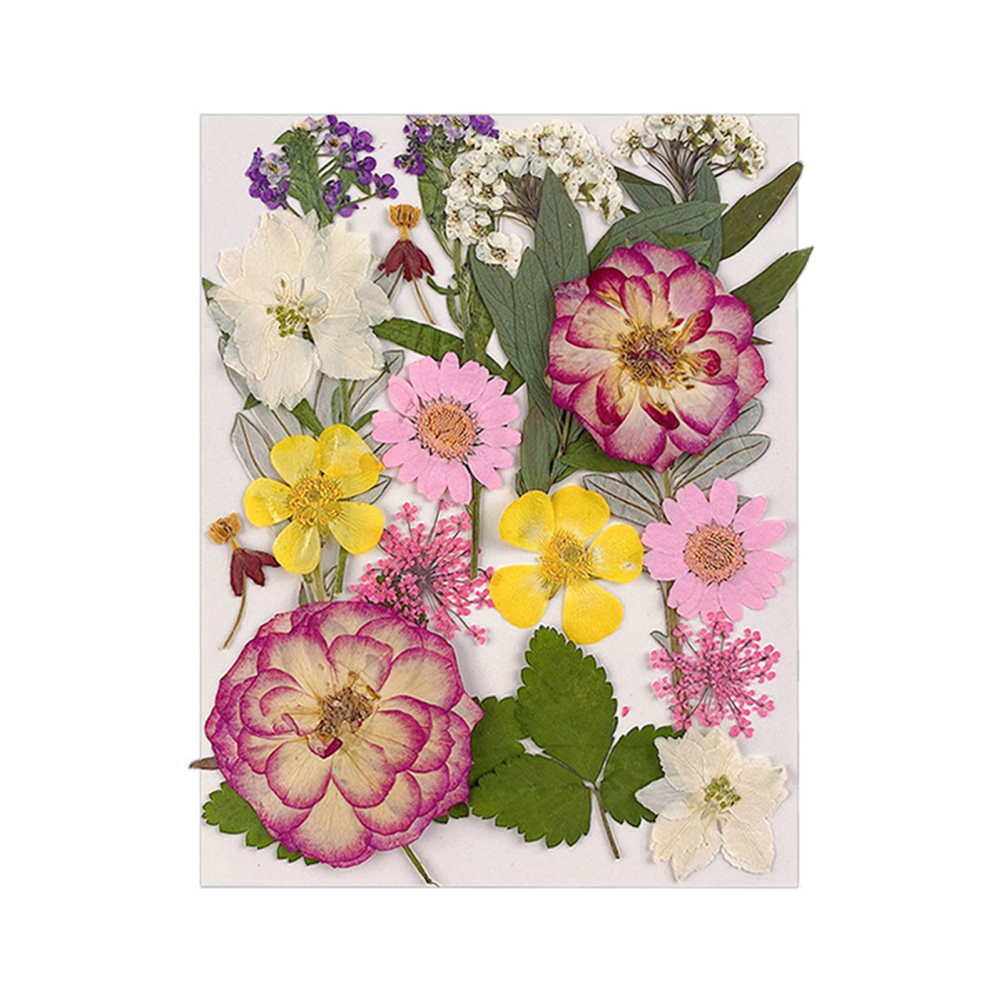 1 Bag Dried Flowers Diy Pressed Flowers Stickers For Phone Case Jewelry