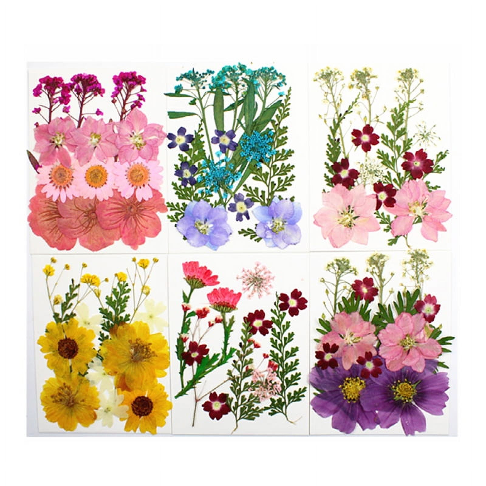  100 Pieces Dried Pressed Flowers for Resin Real Nature