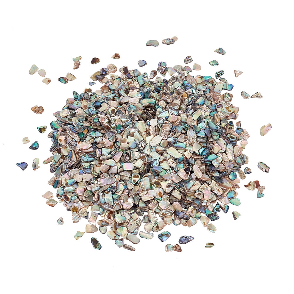 Shell Flakes 1 Box 1 Bags Abalone Shell Flakes Cabochons Nail Art Decorations ...