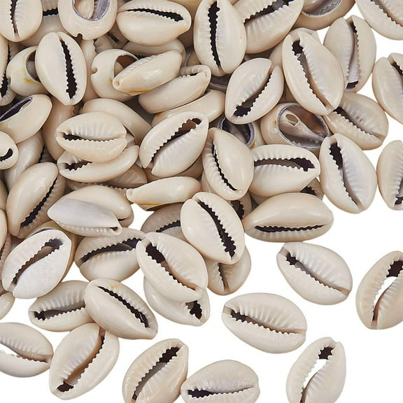 1 Box 100PCS 18~22.5MM Natural Cowrie Shells Beads Beach Open Back Spiral Smooth Shell Real Oval Summer Sea Hawaii Loose Seashell Bead for Jewelry Making Bracelets Decor DIY Craft Supplies for DIY