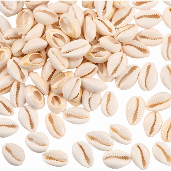 1 Box 100PCS 19~24MM Real Natural Cowrie Shell Beads Open Back Seashell Spiral Shells Summer Hawaii Beach Theme Smooth Oval Loose Bead Bulk for DIY