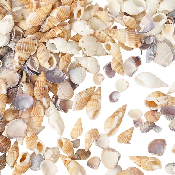 1 Box 150G 5 Styles Natural Seashell Bead Assorted Small Sea Shells Bulk Random Beach Tiny Seashell Colorful Ocean Summer Sea Shells DIY
