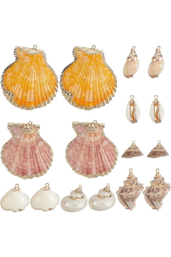 1 Box 16Pcs 8 Styles Conch Charm Seashell Charm Gold Summer Hawaii Beach Seaside Natural Scallop Shell Charms