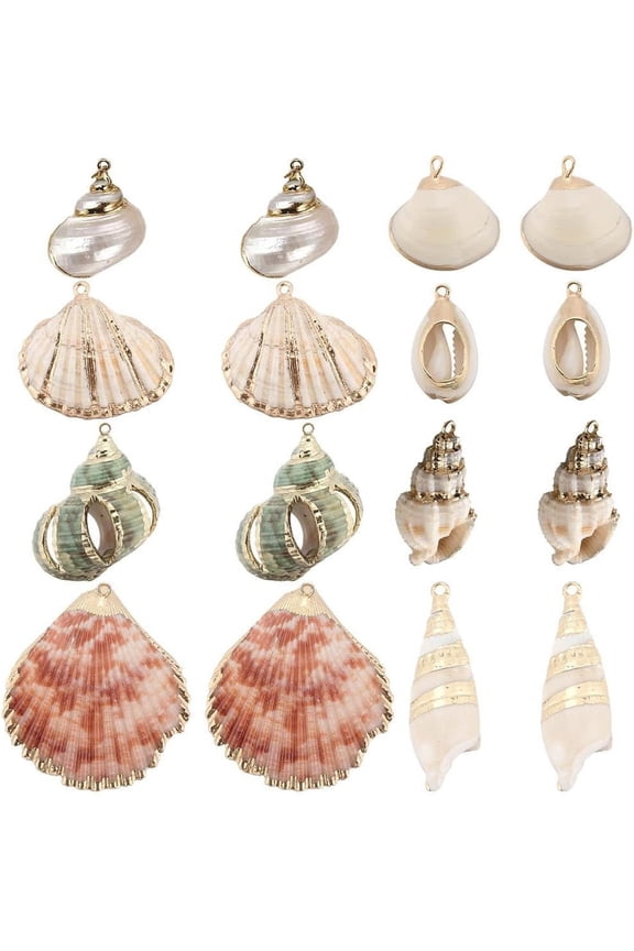 1 Box 16Pcs 8 Styles Natural Shell Charms Bulk Seashell Charm Summer Ocean Beach Conch Cowrie Scallops Beads Shells Marine Sea Charms for DIY handcrafting