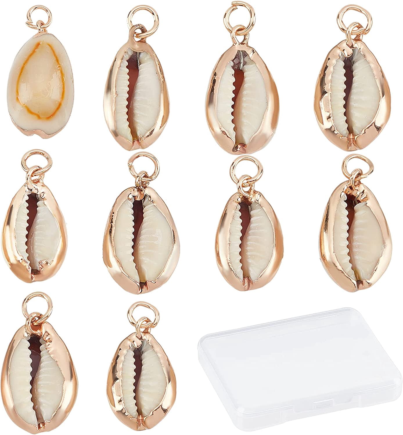Brace Shell SUNNYCLUE 1 Box 10Pcs Natural Cowrie Shell Charms Oval Spiral Shell ...