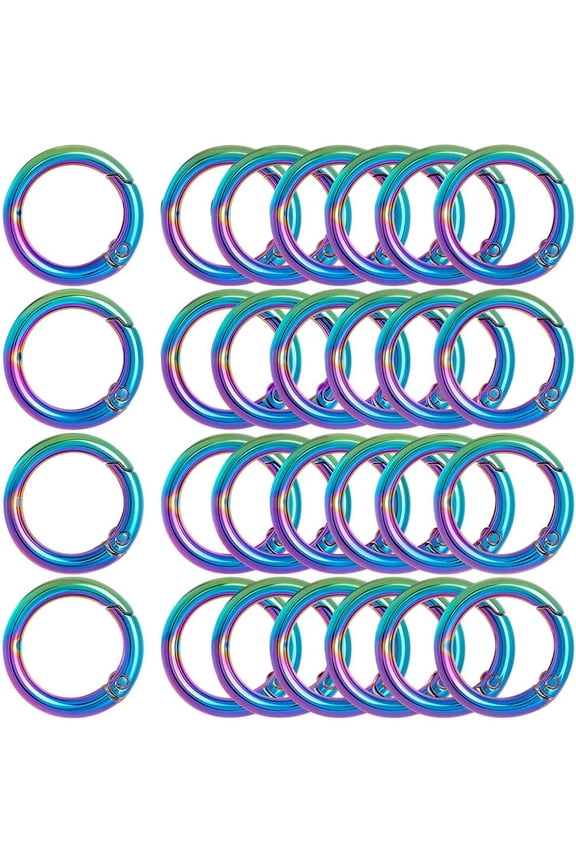 1 Box 20Pc Metal Spring O Rings 20mm Round Carabiner Keyring Rainbow Color Trigger Spring Clips Snap Zinc Alloy O Ring Buckles for DIY DIY Keychains Keyring Purses Handbags Dog Leashes Crafts
