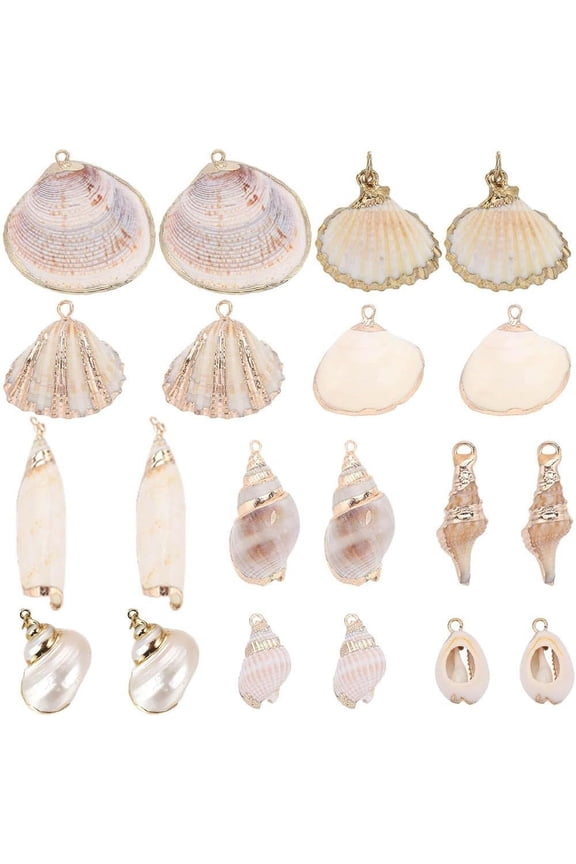1 Box 20Pcs 10 Styles Seashell Charms Bulk Sea Shell Charms Large Gold Electroplated Natural White Conch Cowrie Ocean Beach Charm