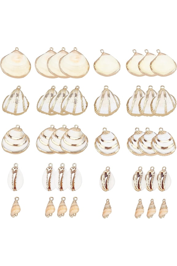 1 Box 20Pcs 5 Styles Freshwater Shell Charms Ocean Beach Cowrie Seashells Charms Conch Jewelry Charm Dangles for DIY Necklace Bracelet Earring Making Home Beach Theme Party Decor Black