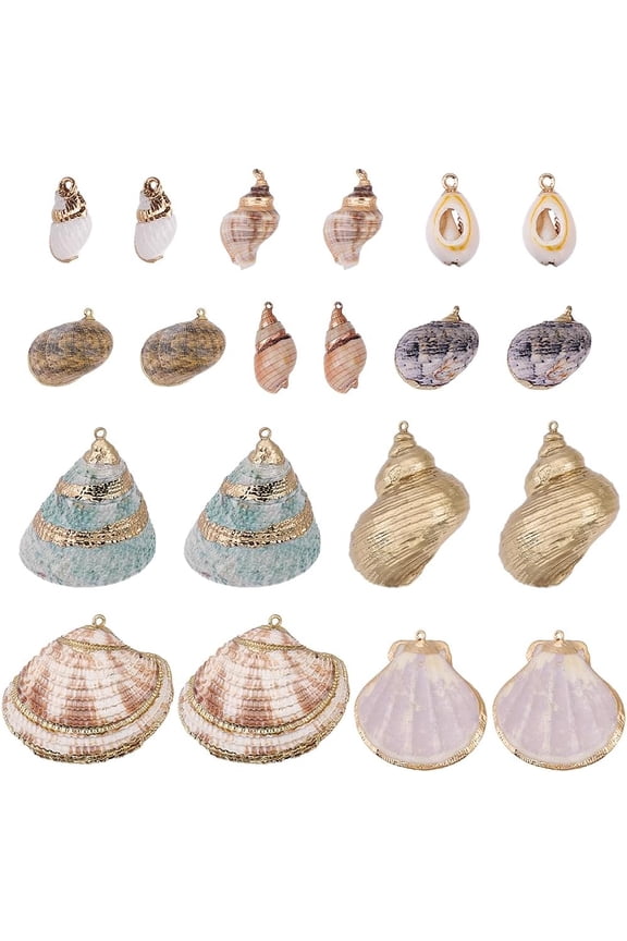 1 Box 20Pcs Natural Shell Charm Cowrie Shells Bulk Summer Ocean Theme Cowrie Seashell Golden Electroplated Charms for Jewelry Making Charms DIY Crafting Necklace Bracelet Earring Women Gifts Colorful