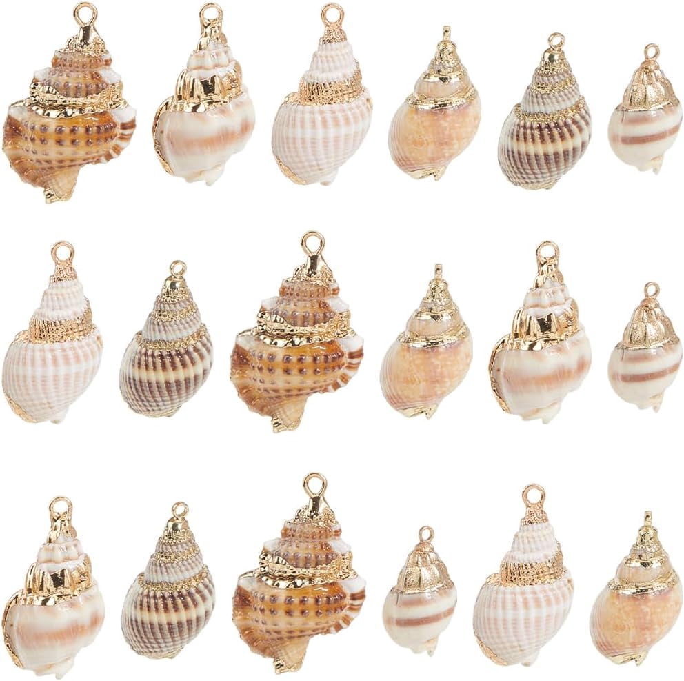 Shell Real Charms 1 Box 24Pcs 6 Styles Conch Shell Charm Bulk Natural Shell Charms Summer ...