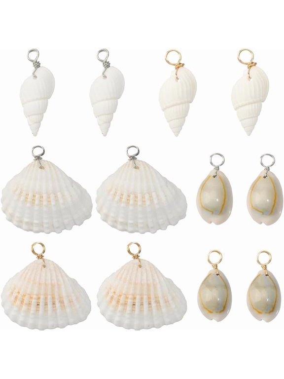 1 Box 24Pcs 6 Styles Conch Shell Charm Seashell Charms Bulk Natural Summer Real Cowrie Mixed Earrings Crafts Adults Colorful