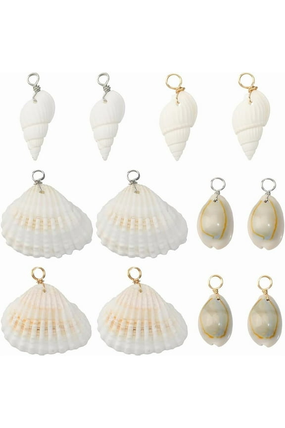 1 Box 24Pcs 6 Styles Conch Shell Charm Seashell Charms Bulk Natural Summer Real Cowrie Mixed Earrings Crafts Adults Colorful
