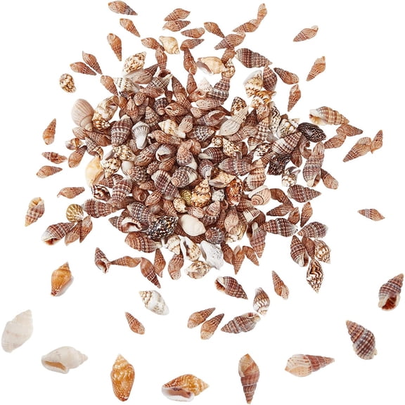 1 Box 260pcs Small Seashells 7~20mm 4 Styles Natural Shell Beads Undyed Miniature Shells No Hole Ocean Spiral Seashells for Resin Home Party Wedding Fish Tank Glass Bottle Vase Filler Candle