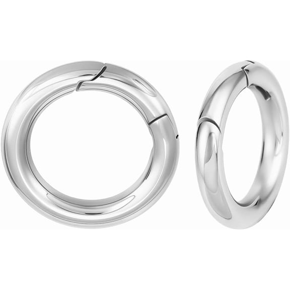 1 Box 2Pcs Spring Ring Clasp 304 Stainless Steel Gate Carabiner Snap Clip O Ring Buckle for Key Keychain Purse Making Supplies for DIY