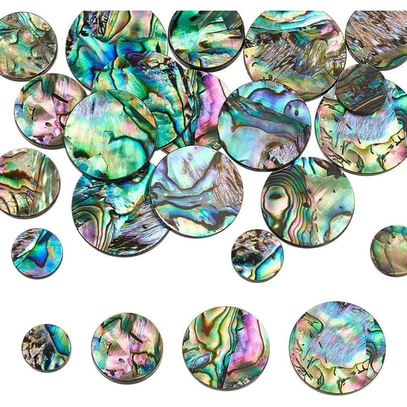 1 Box 4 Sizes Abalone Shell Cabochons 20Pcs 10/14/18/20mm Natural Abalone Flat Round Loose Beads No Hole Coin Colorful Paua Stone Shell Cabochons for DIY Crafting Bracelet Necklace Making Colorful