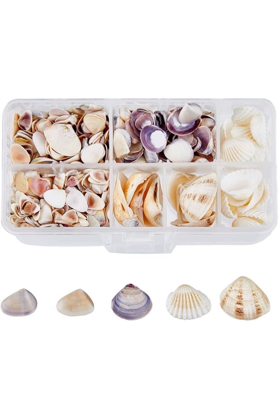 1 Box 5 Styles Natural Sea Shell Beads Ocean Beach Spiral Shells Charms No Hole Miniature Shells Decorations for Vase Fille Beach Theme Party DIY Wedding Deco Candle Making