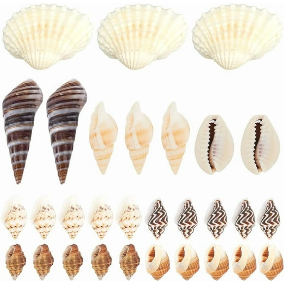 1 Box 8 Styles Mini Sea Shells Small Starfish Summer Hawaii Ocean Beach Spiral Shell Beads Tiny Seashells for Home Wedding Outdoor Party Decor DIY Crafts Vase Filler Colorful DIY