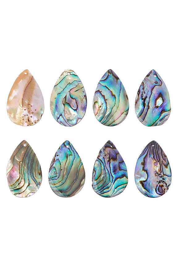 1 Box 8Pcs Natural Abalone Shell/Paua Shell Pendants Twist Teardrop Charms 28.5~31x16~16.5x1.5~1.8mm Hole: 1mm