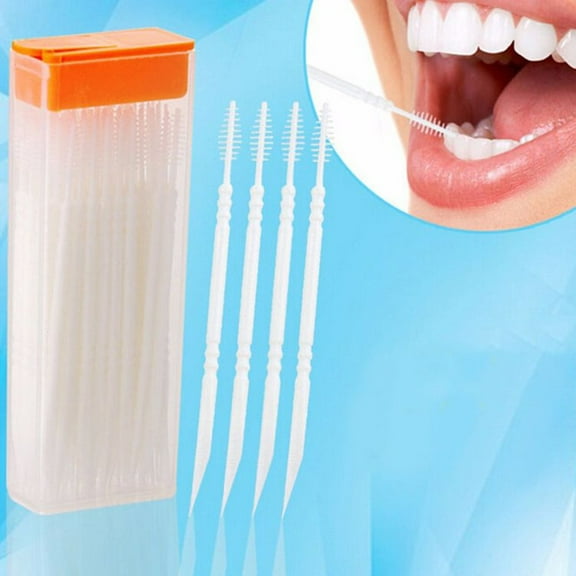 1 Box Double Head Plastic Toothpick Teeth Cleaning Stick Brush