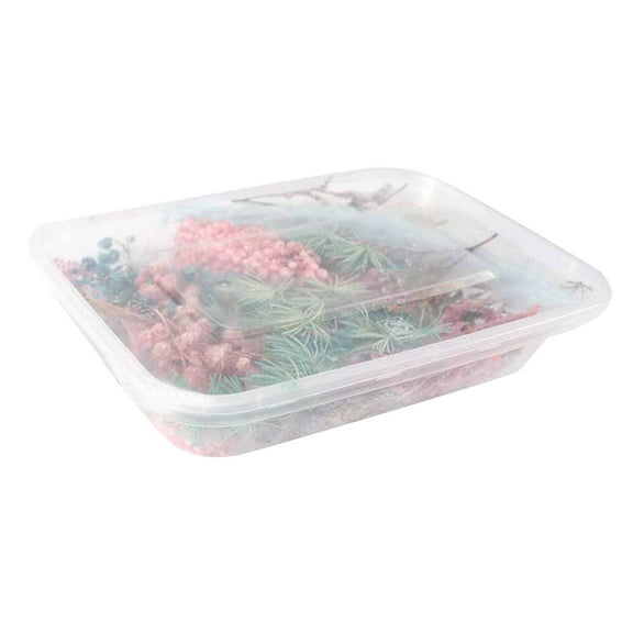 1 Box Dried Flowers,Mixed Colors Dried Flowers,Small Dry Flower for DIY Arts and Crafts Candles,Soap Making,Resin Jewelry Nail Pendant,Greeting Cards,Scrapbooking,Wedding Decor,Random Color 1PCS