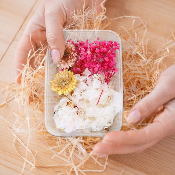 1 Box Real Dried Flower Resin Fillings Expoxy Flower For Epoxy Resin Jewelry Making Craft DIY Supplies Accessories (Forget Me Not)