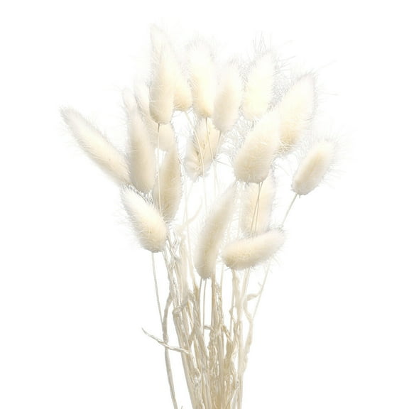 1 Bunch/60 Pcs Wedding Decoration Dried Grass Rabbit Tail Plants Dried Flowers for Photography Flower Arrangement (W