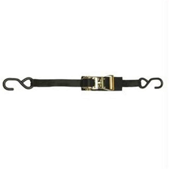 1 CamBuckle Transom/Utility Tie - Down - 1 x 3.5 -